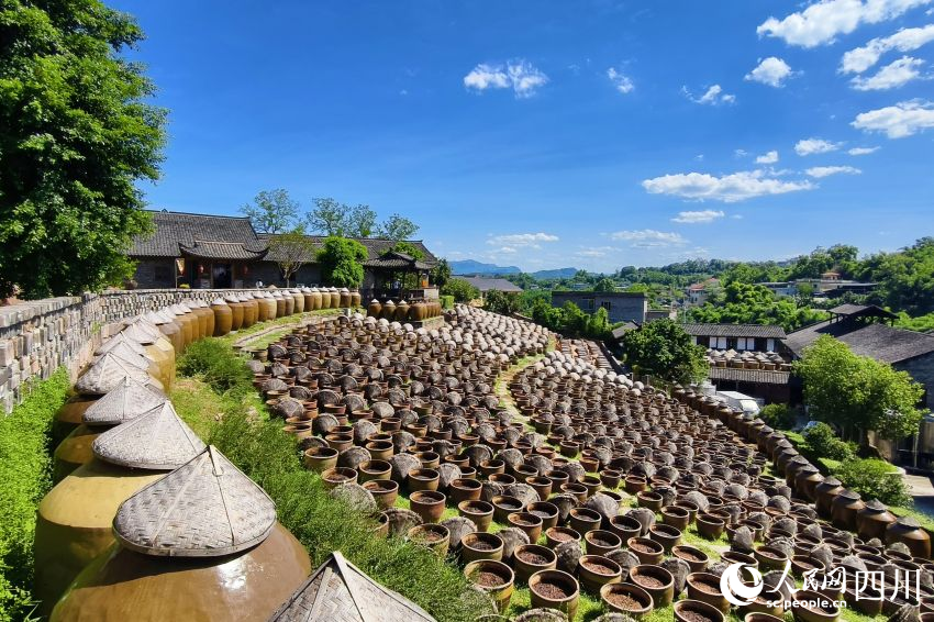 先市醬油赤水河莊園內釀造醬油的陶缸整齊排列。人民網 趙祖樂攝