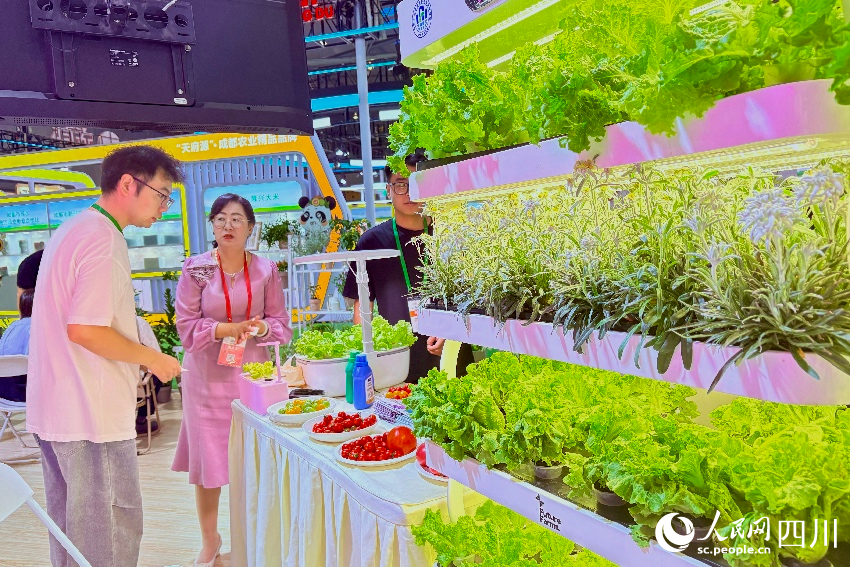 家庭式智慧種植機吸引了不少市民前來。人民網記者朱虹攝