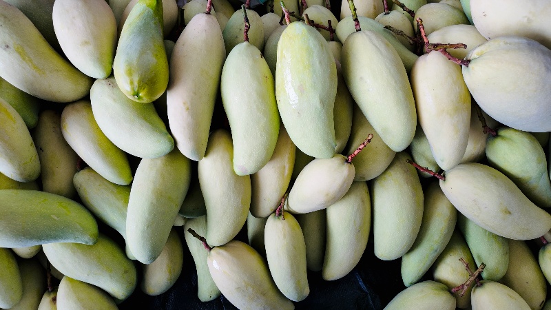 德昌芒果。德昌縣委宣傳部供圖