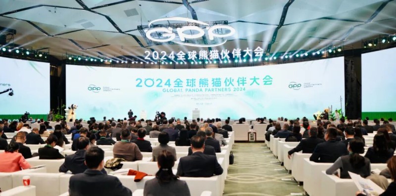 2024全球熊貓伙伴大會。達霄羽攝