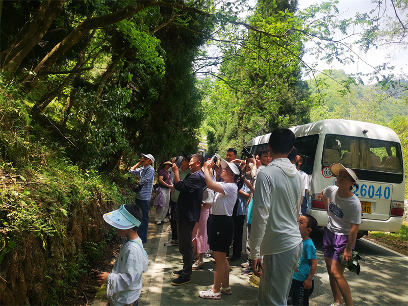 游客到青川賞景。青川縣融媒體中心供圖