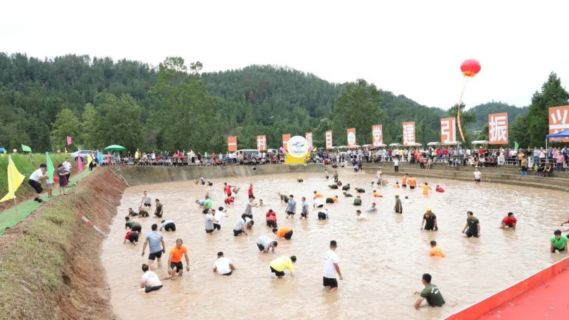 稻田里一片歡聲笑語。通川區委宣傳部供圖