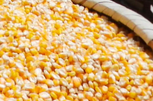 來四川，赴一場“豐”富多彩的秋日之約當秋分踩著稻浪而來，豐收節的鼓點也在蜀地響起，此刻不妨來四川一趟，走進“豐”富多彩的秋天，共赴這場大地的盛宴。