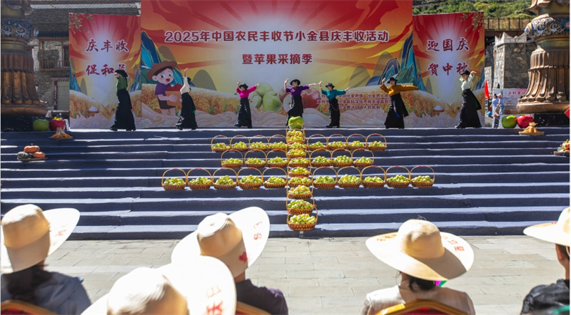 開幕式現場。主辦方供圖