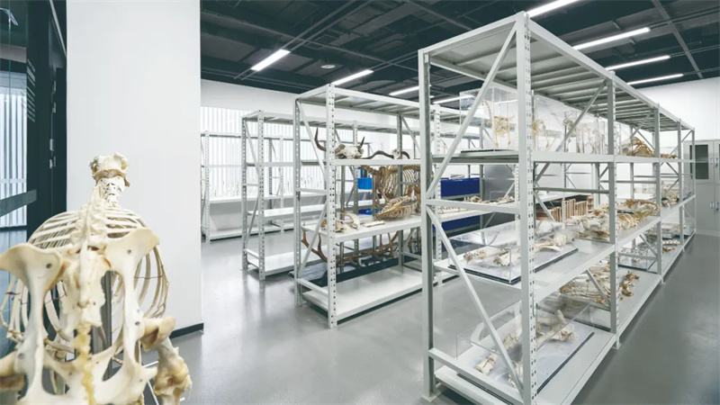 科技考古中心。成都市文物考古研究院供圖