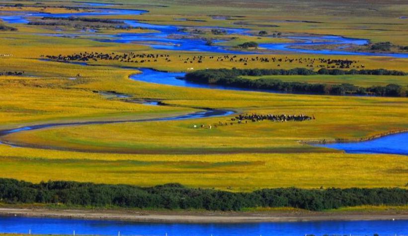 甘孜州理塘縣無量河濕地