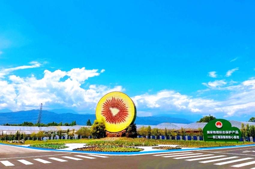 國家地理標志保護產品——都江堰獼猴桃核心基地。都江堰市委社會工作部供圖