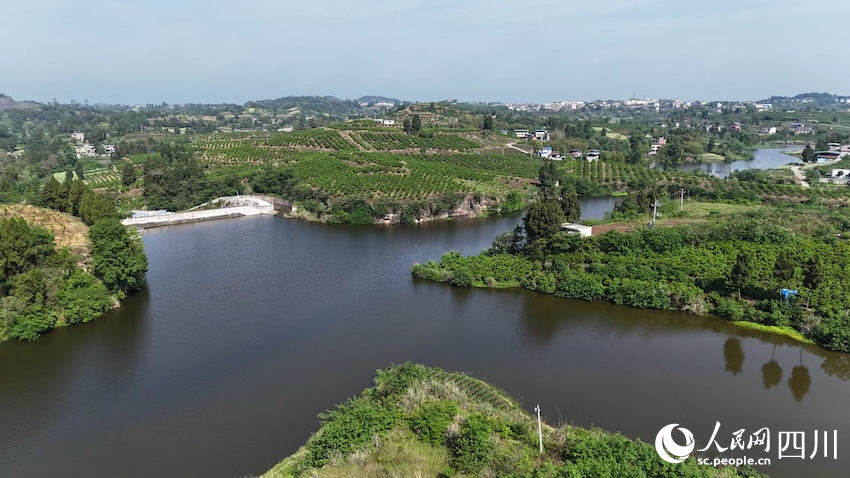 資陽市雁江區村鎮全域灌溉項目。人民網記者 郭瑩攝