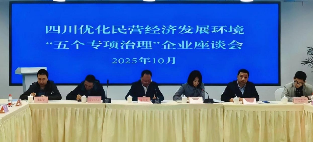 座談會現場。人民網 袁曼倪攝