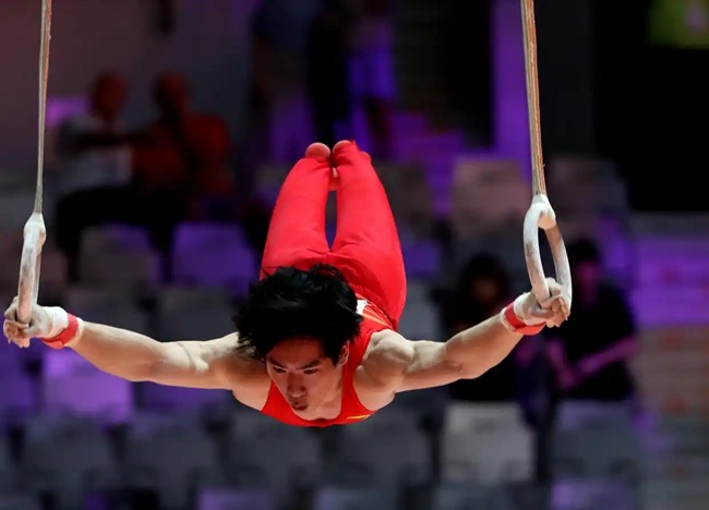 張博恒在男子個人全能決賽吊環項目比賽中。新華社記者 岑云鵬攝