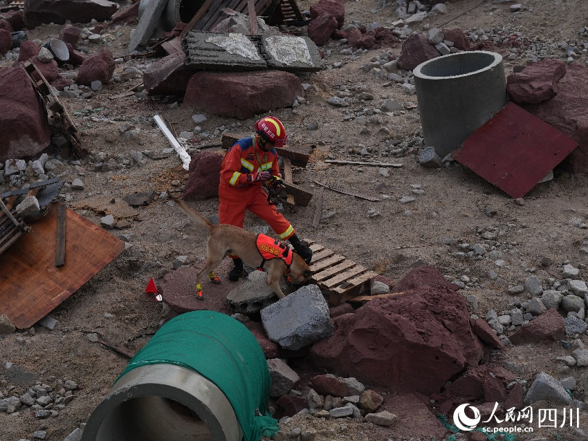 廢墟搜救項目，搜救犬聞到氣味吠叫20秒后訓導員第一時間放旗標注被困人員位置。丁則尼瑪攝