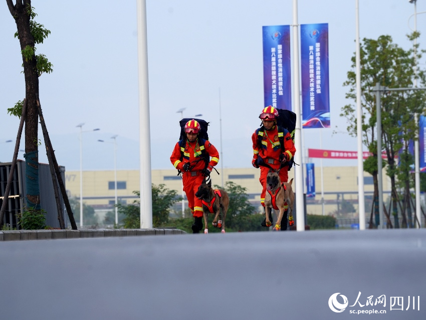 訓導員負重攜犬奔跑1000米后進行“廢墟搜救”競賽。人民網記者 朱虹攝