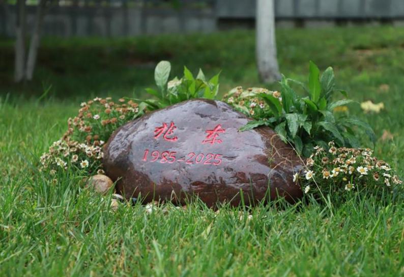 那盞燈，照亮初心