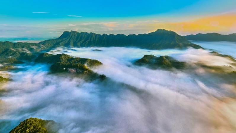 光霧山：不只看紅葉① 紅葉節限定的隱藏款—光霧云海