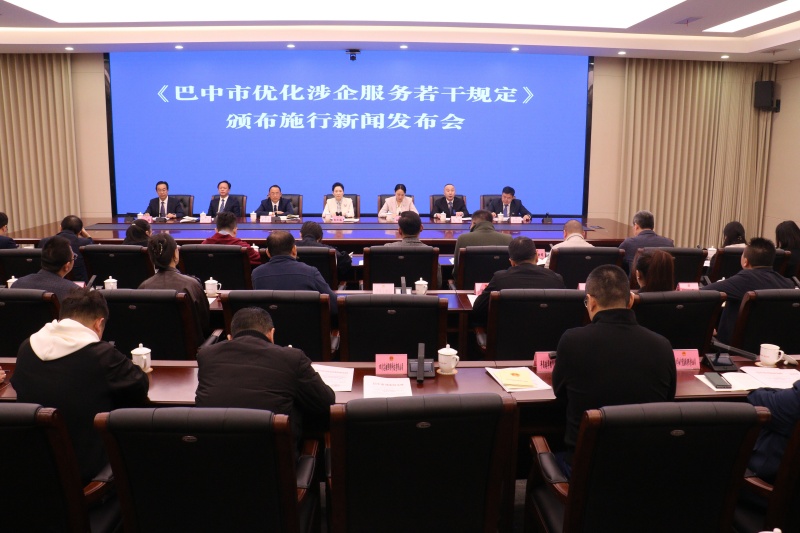 發布會現場。主辦方供圖