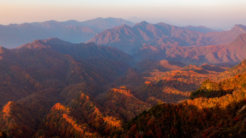 萬山紅遍，層林盡染。巴中市委宣傳部供圖