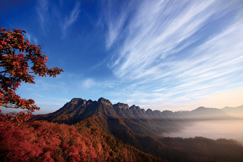 長風吹動天地間，紅葉妝點光霧山。巴中市委宣傳部供圖