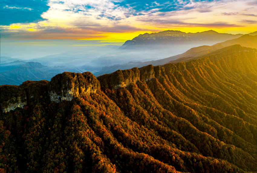 秋山紅葉美紛紛，半襯青天半襯云。巴中市委宣傳部供圖