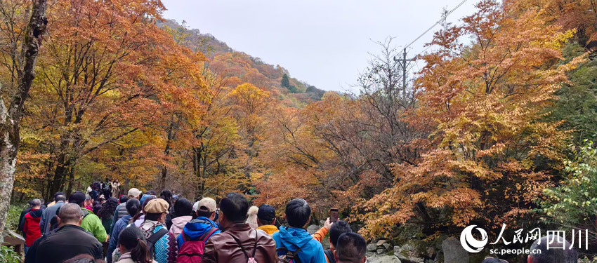 眾多游客觀賞光霧山紅葉。人民網記者 劉海天攝