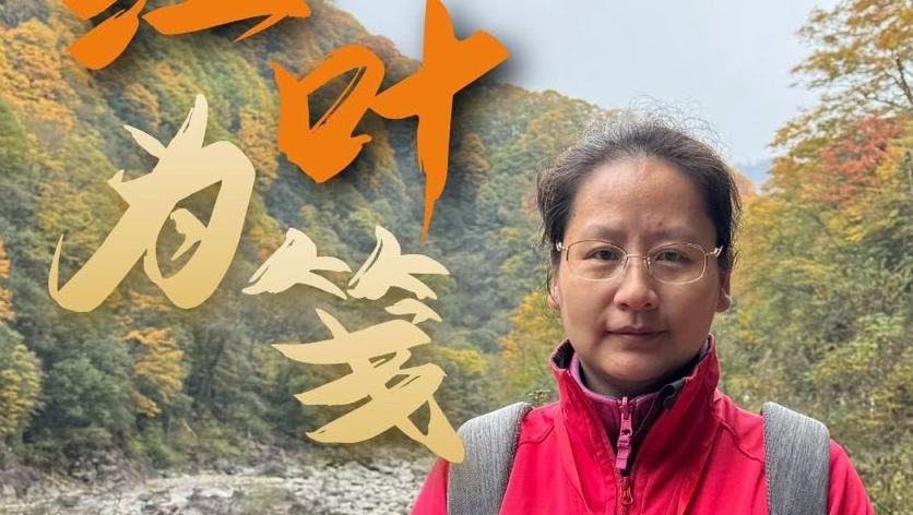 李藝：這里的紅葉很震撼