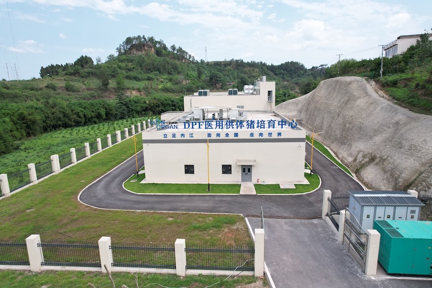 中科奧格設立在內江的醫用供體豬培育中心。受訪者供圖