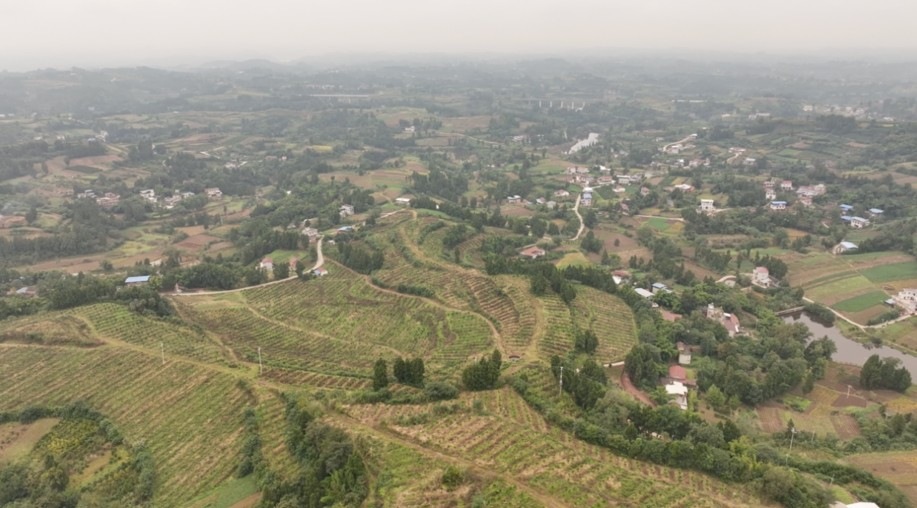 鳥瞰白坡村。雁江區融媒體中心供圖