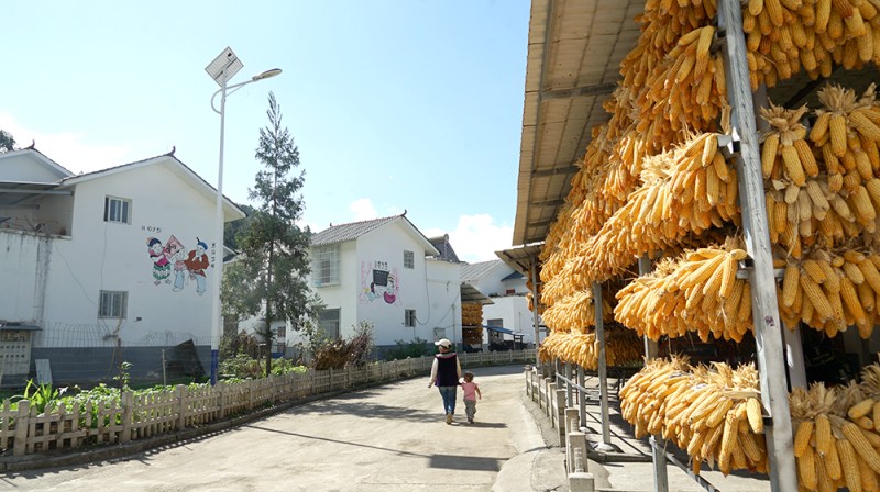 眉山村實景。綿竹市融媒體中心供圖
