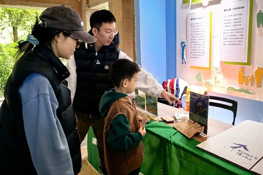 發現身邊的鳥類鄰居展覽。主辦方供圖