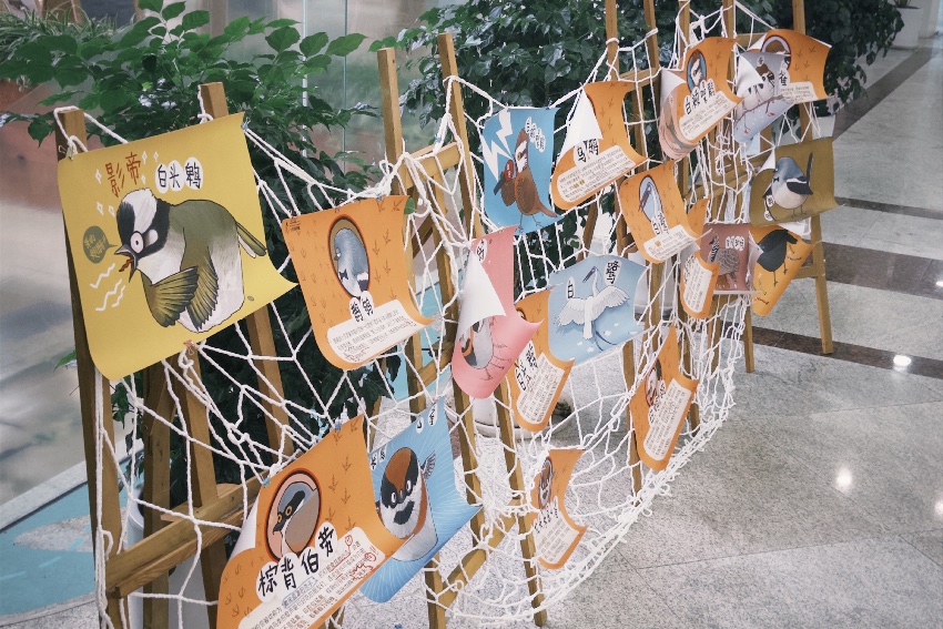 發現身邊的鳥類鄰居展覽。主辦方供圖