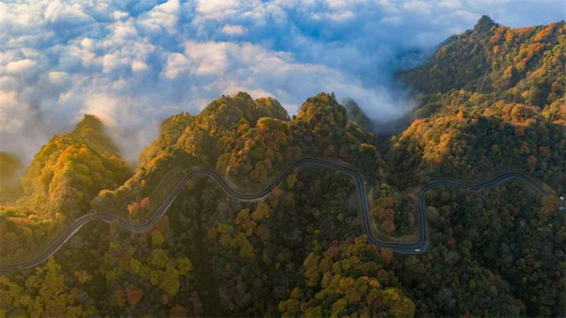 航拍紅葉、云海。旺蒼縣融媒體中心供圖