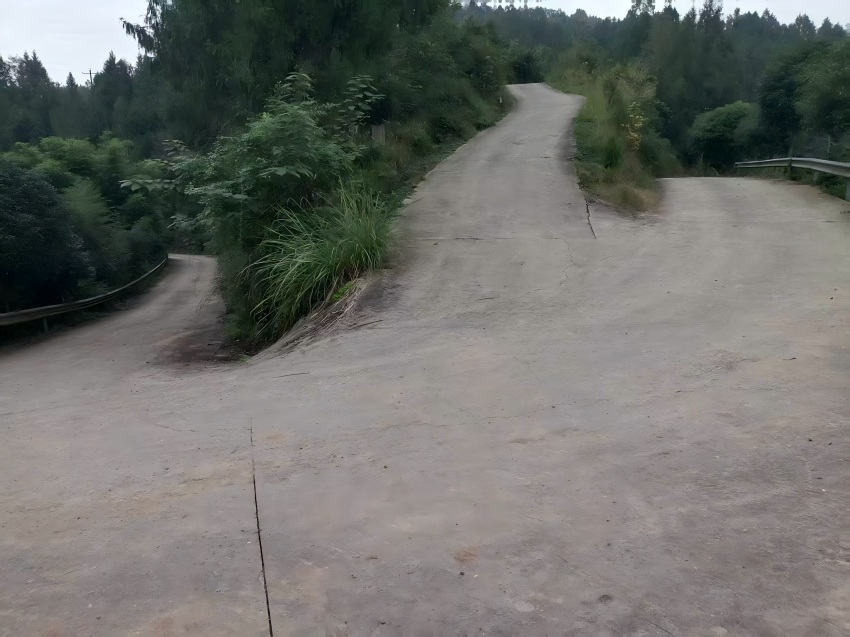 閬中市局（分公司）援建的硬化道路。閬中市煙草專賣局供圖