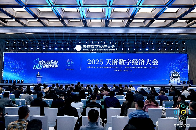 會議現場。主辦方供圖