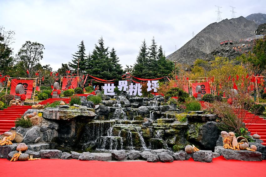 活動現場。主辦方供圖