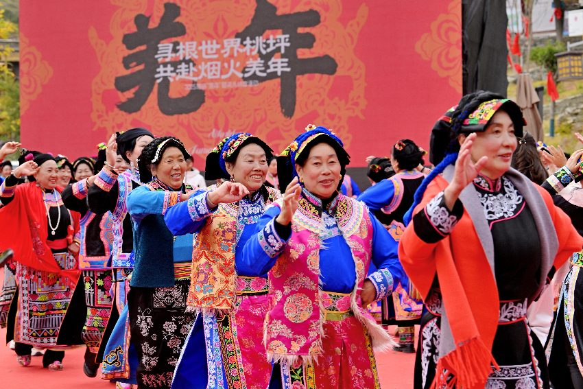 活動現場。主辦方供圖