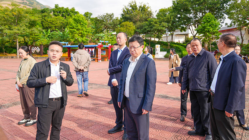 網絡代表人士走訪調研高龍村。四川省網聯會供圖