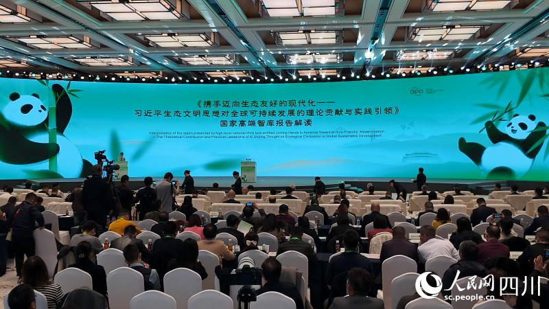 新華社四川分社社長、智庫報告課題組成員張旭東解讀智庫報告。人民網 袁曼倪攝