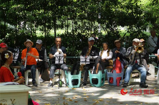 成都居民在公園里演奏歌曲。人民網 王禹蘅攝