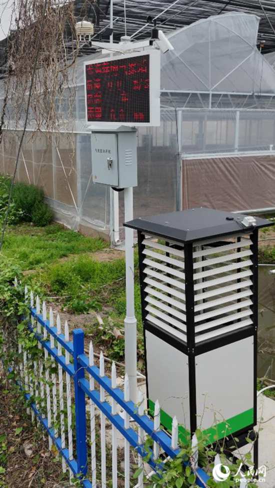 在福建省漳州市龍海區東園鎮港邊村育苗基地，佇立在田間的“AI蟲情測報儀”。人民網 李昌乾攝