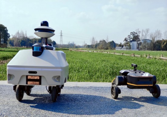 四川省成都市新都區天星村智能巡檢機器人“小胖”（左）和“小瘦”（右）。王玉萍攝